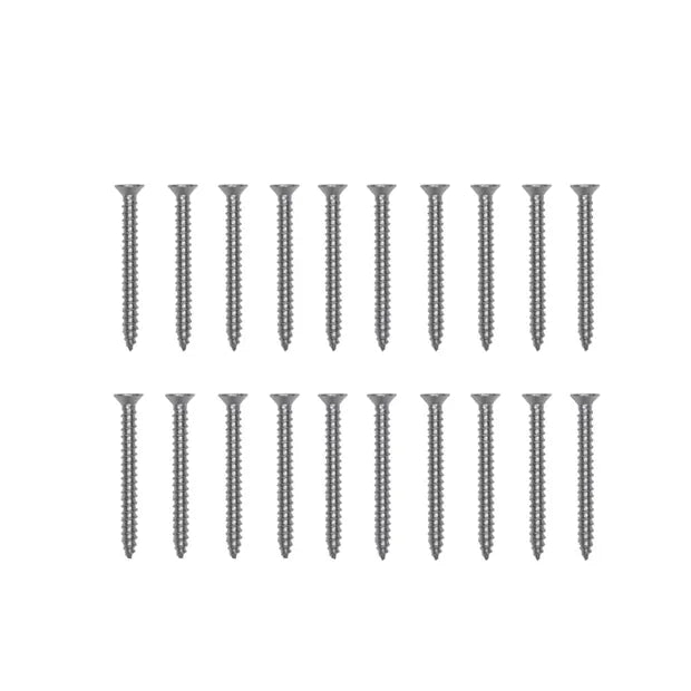 Platinum Schroeven 20x RVS 316 Chroom