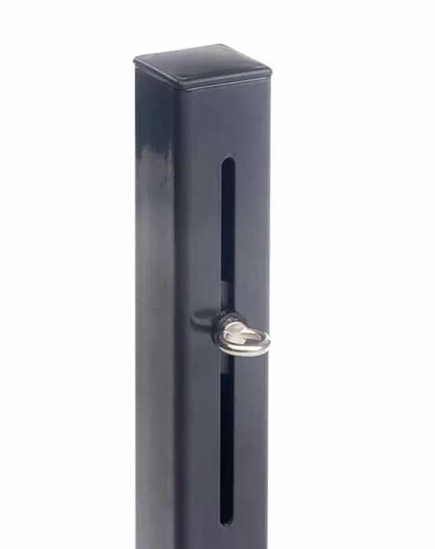 Platinum Pole with flex eye 70x70x250mm RVS 316Chrome